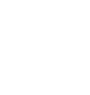 Regina Novelo